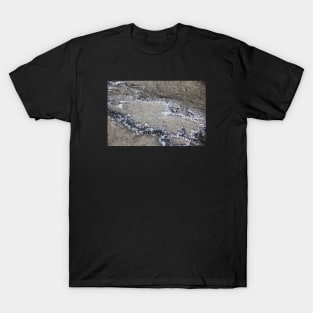 Seaside rock formation T-Shirt